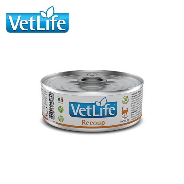 Vet Life Cat 리쿱 습식캔 85g