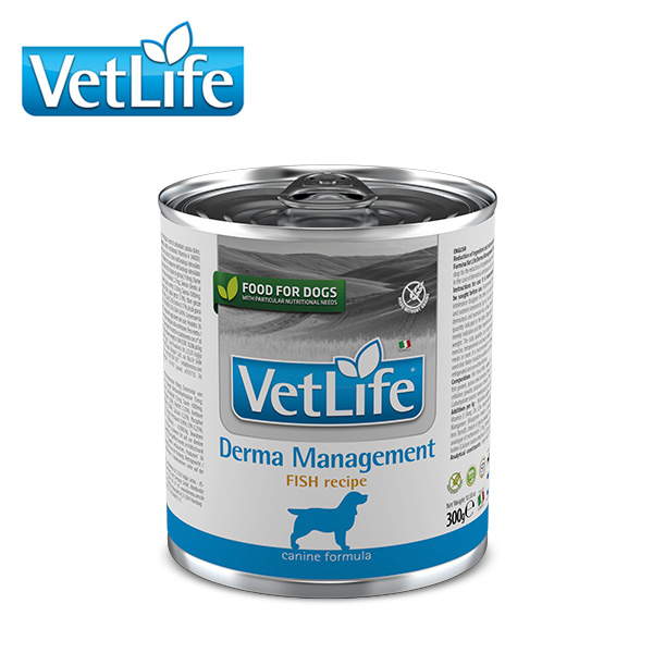 Vet Life Dog 더마 매니지먼트 피쉬 습식캔 300g