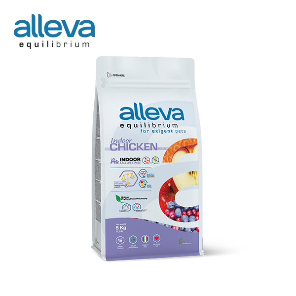(전연령)알레바 이퀼리브리움 인도어캣 모노프로틴 치킨레서피 5kg