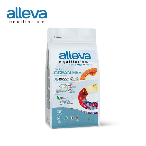 (전연령)알레바 이퀼리브리움 인도어캣 모노프로틴 청어레서피 5kg