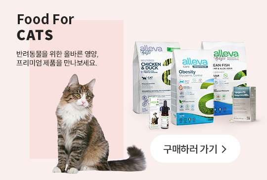Food For CATS 반려묘을 위한 올바른 사료, 친환경 제품을 소개합니다. 구매하러 가기
